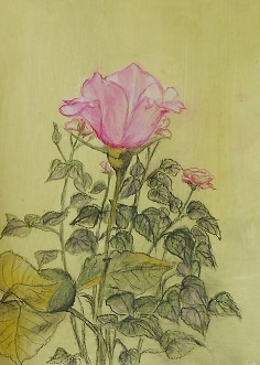 namalovaná růže